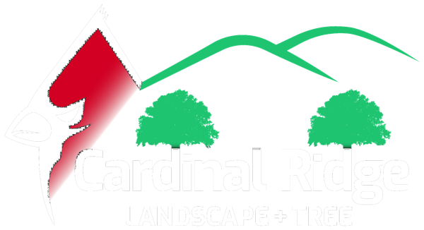 Cardinal Ridge Landscape & Tree
