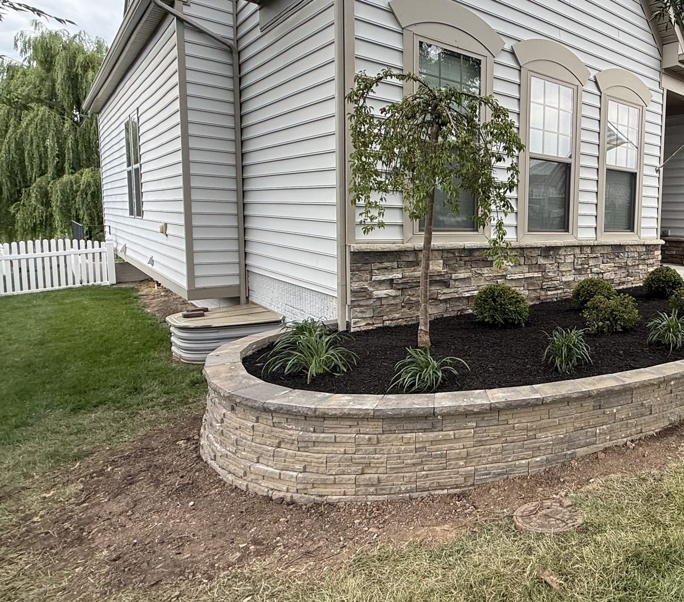 Curved raised bed wall with a cap, planted with a young tree and shrubs