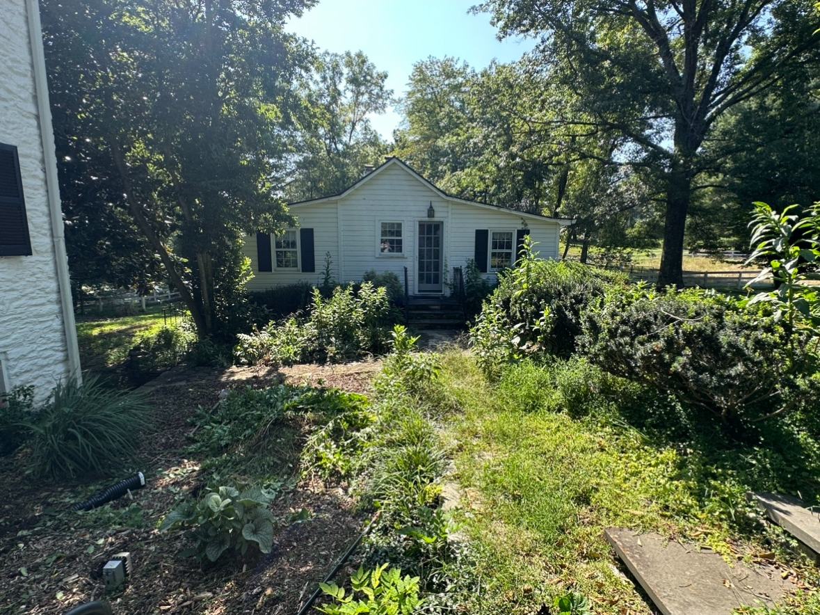 Overgrown grounds before clearing and regrading